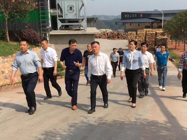 宜宾市副市长张平,市委农工委主任何文毅一行到我公司